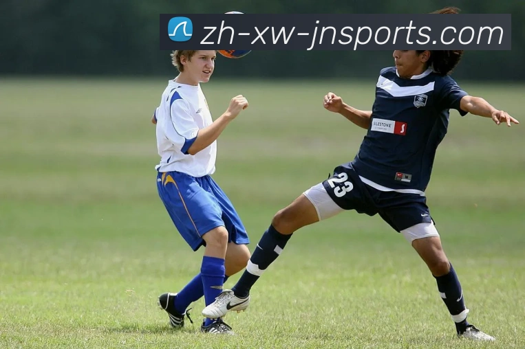 多媒体互动体验